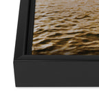 golden summer ii Framed Canvas Print Gallery Image 3