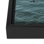 lets surf v Framed Canvas Print Gallery Image 3