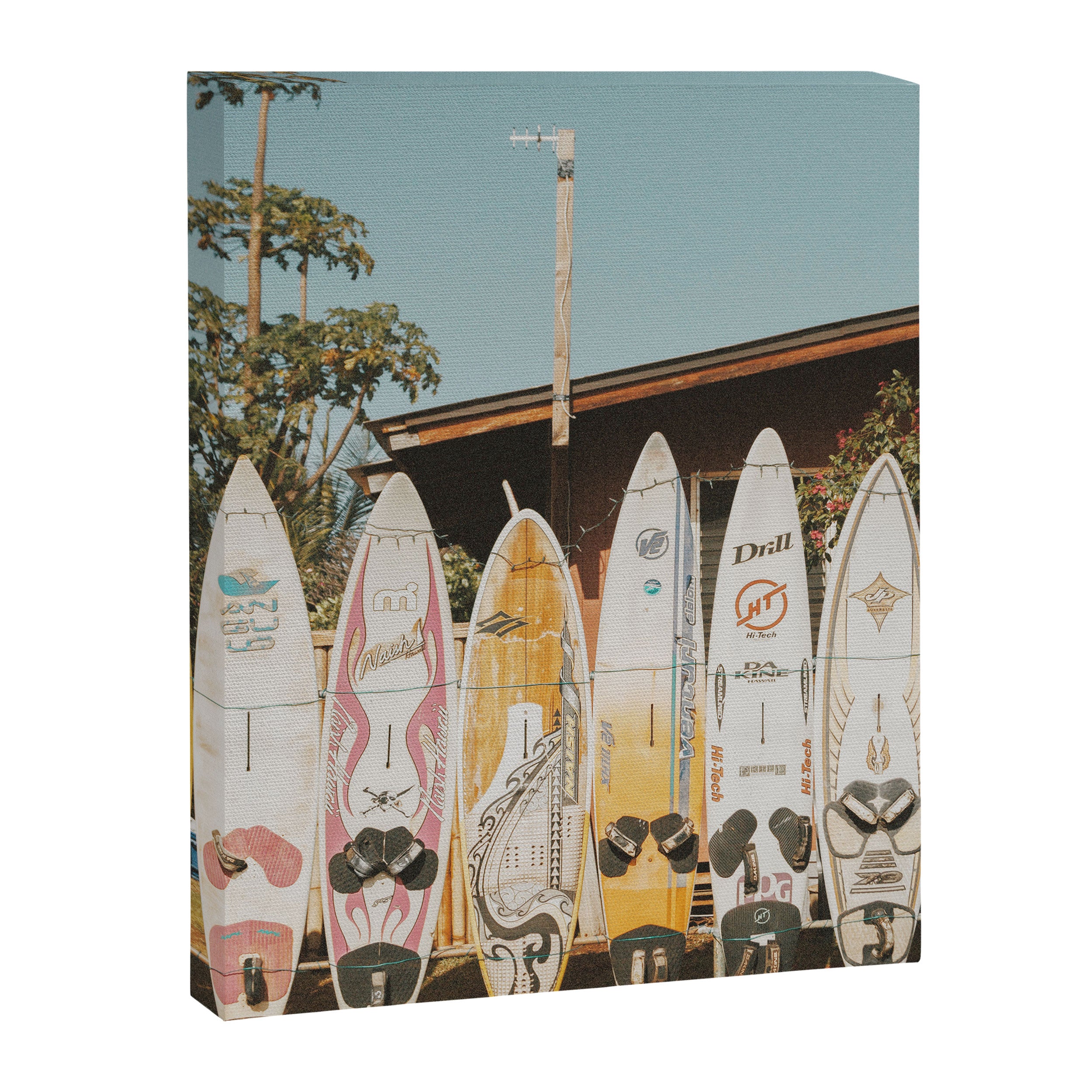 lets surf xv Canvas Print Gallery Image 6