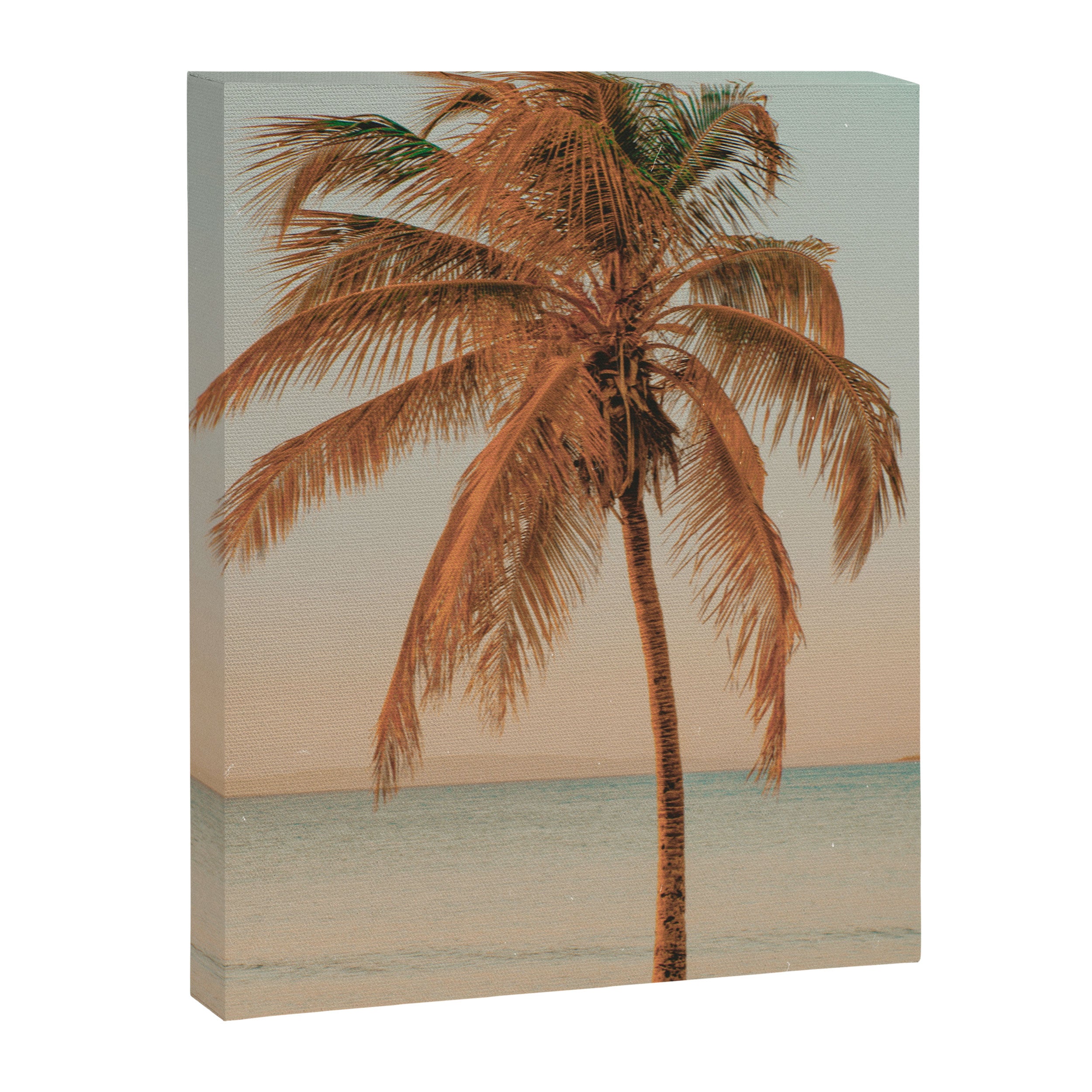 palm tree sunset ii Canvas Print Gallery Image 6
