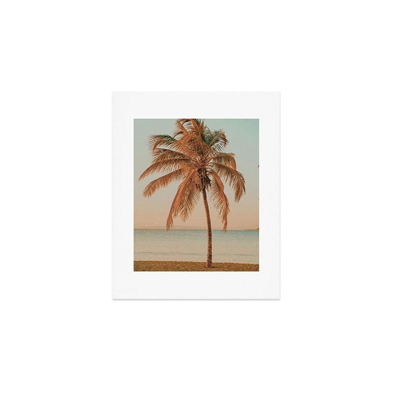 palm tree sunset ii Art Print Gallery Image 1