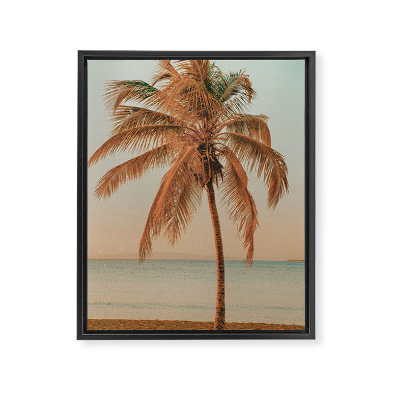 palm tree sunset ii Framed Canvas Print Gallery Image 6