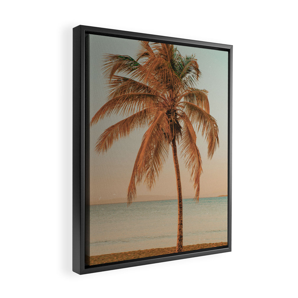 palm tree sunset ii Framed Canvas Print Gallery Image 2