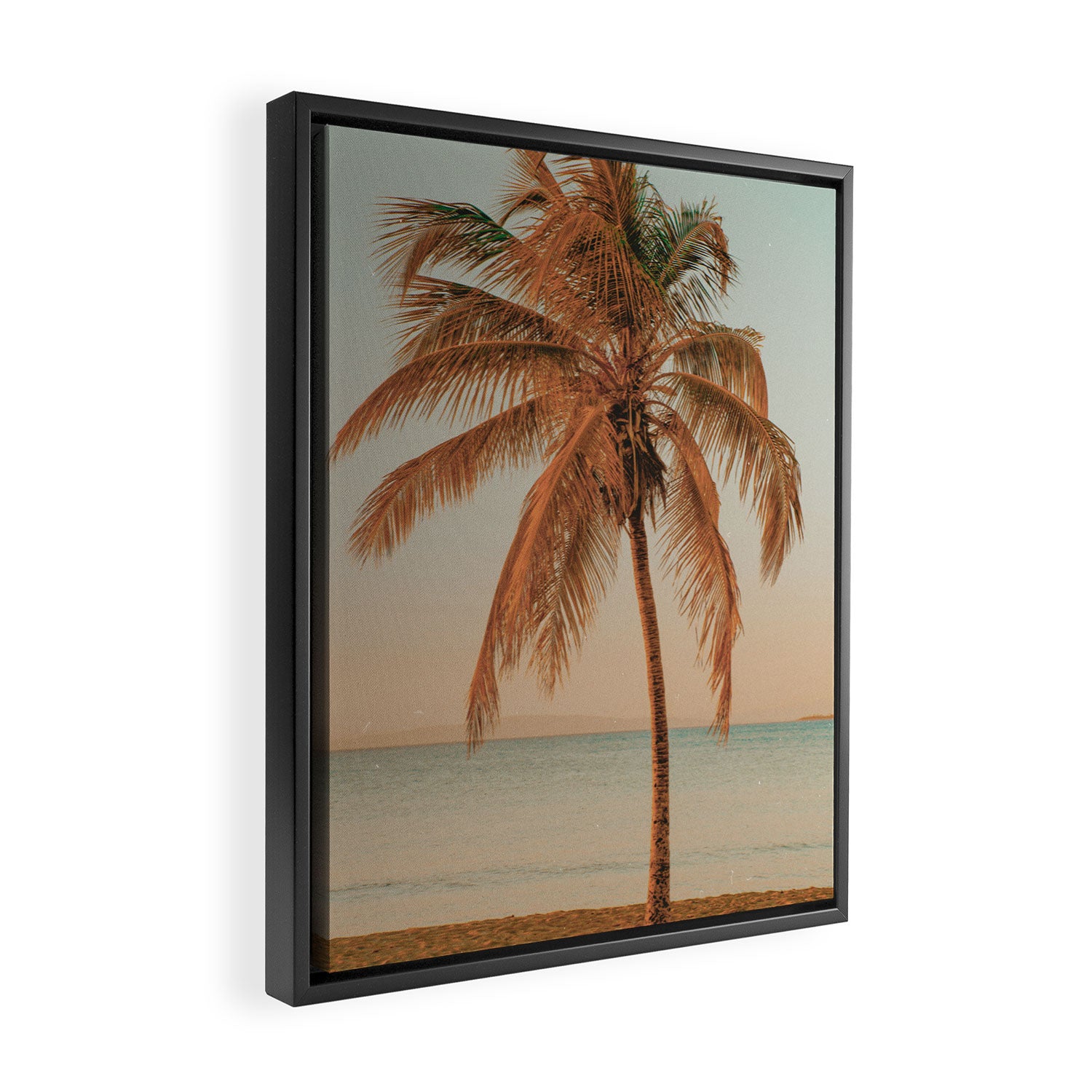 palm tree sunset ii Framed Canvas Print Gallery Image 2