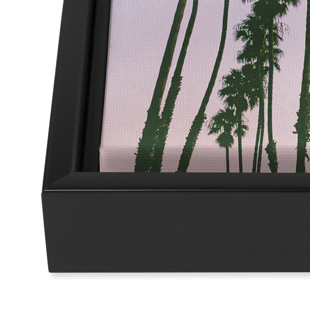 palm trees sunset iii Framed Canvas Print Gallery Image 3