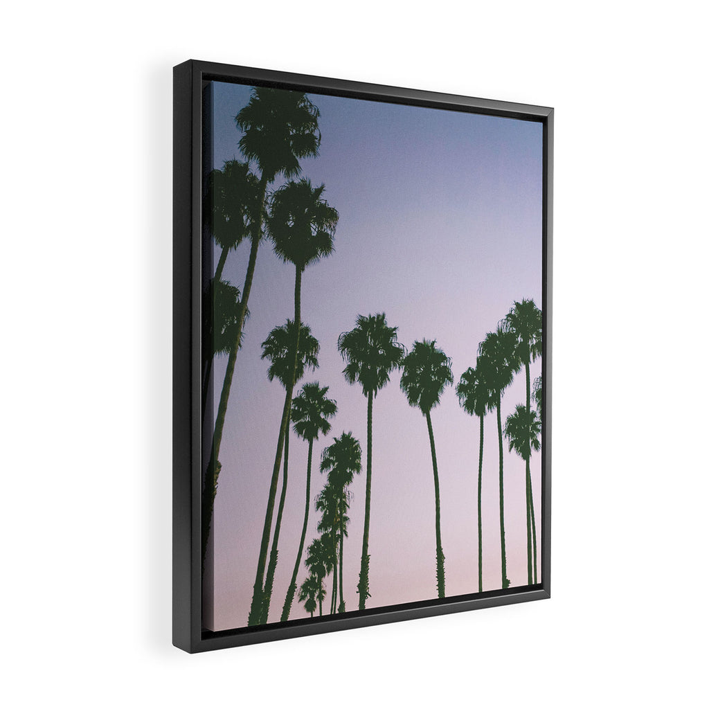 palm trees sunset iii Framed Canvas Print Gallery Image 2
