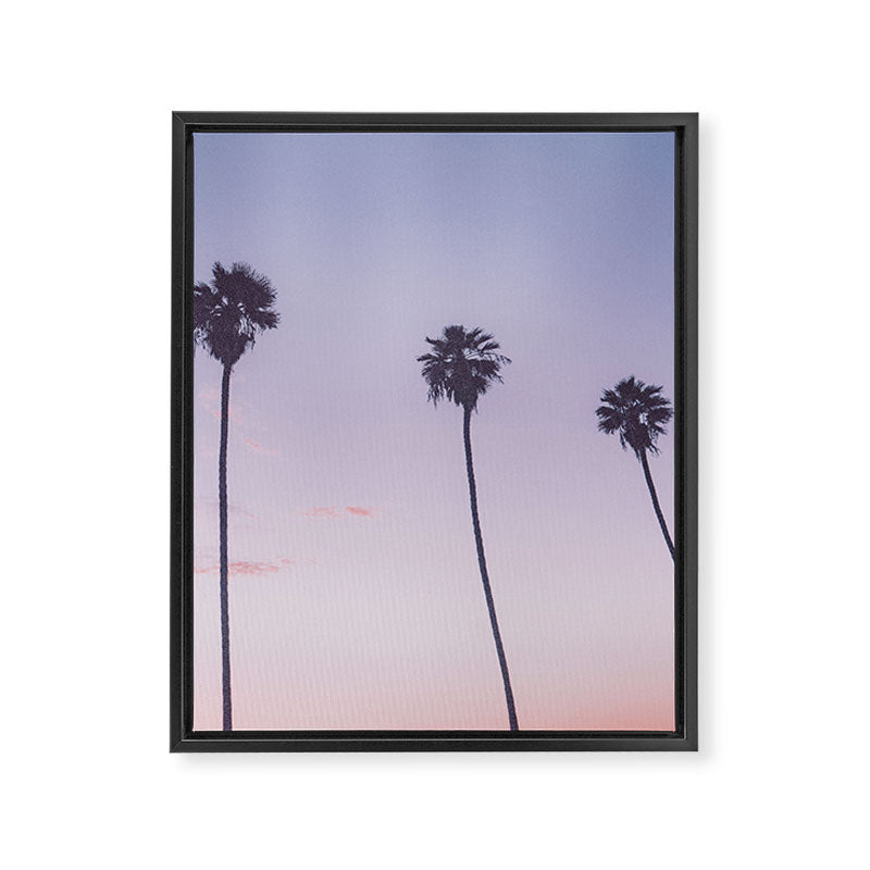 palm trees sunset iv x ii - san diego, california Framed Canvas Print Gallery Image 6