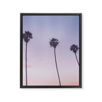 palm trees sunset iv x ii - san diego, california Framed Canvas Print Gallery Image 6
