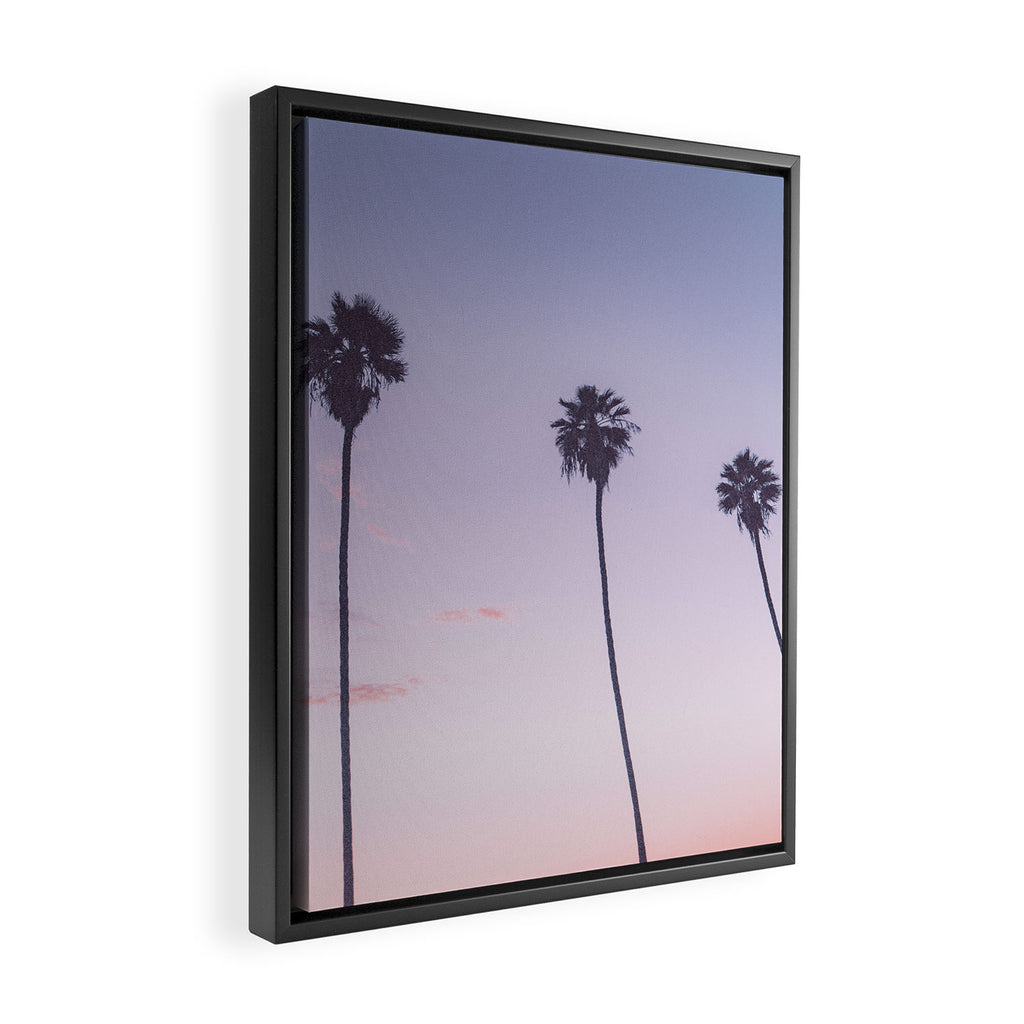 palm trees sunset iv x ii - san diego, california Framed Canvas Print Gallery Image 2