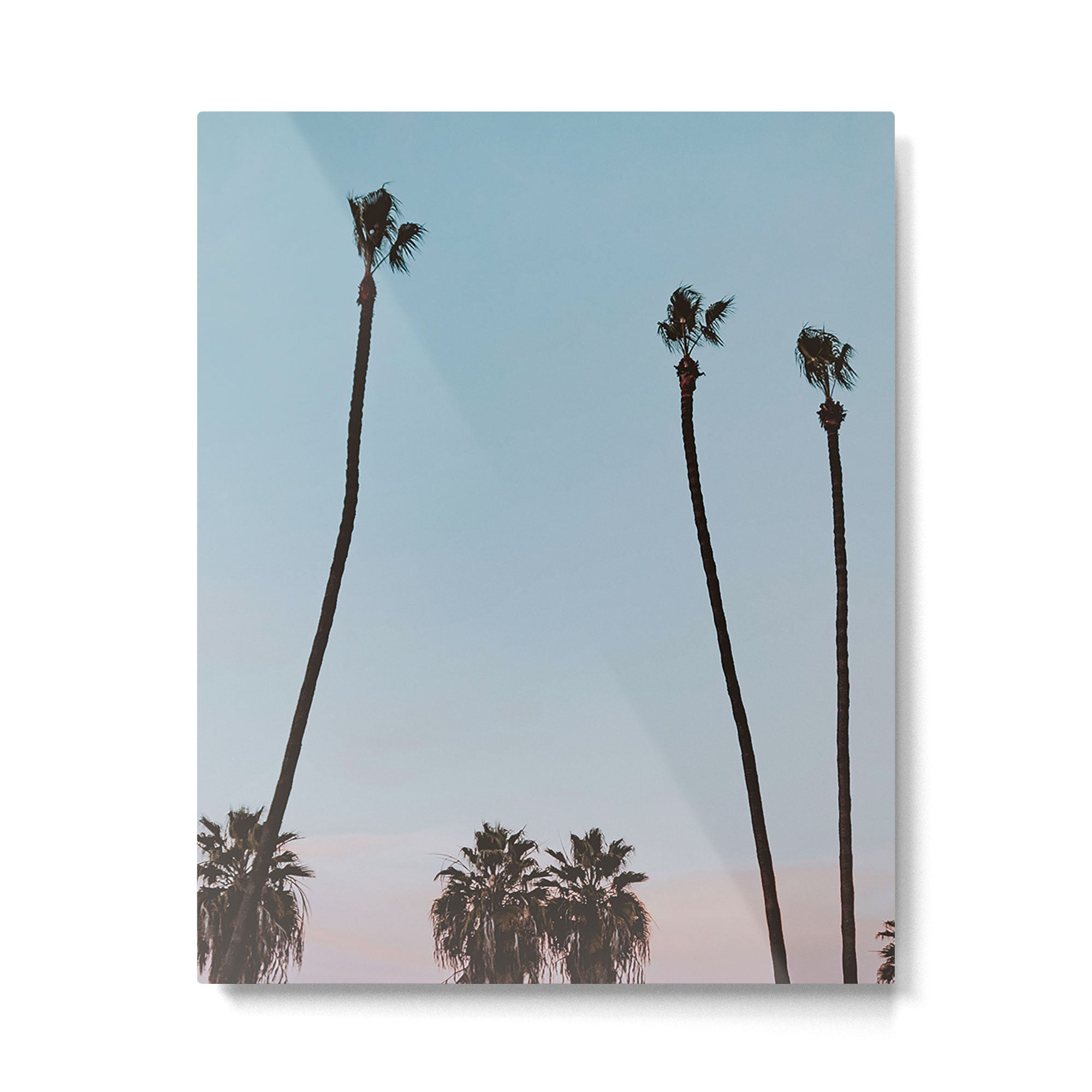 palm trees sunset vi  Metal Print Gallery Image 4