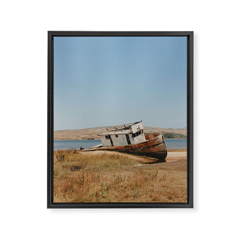 point reyes shipwreck - california Framed Canvas Print Gallery Image 6