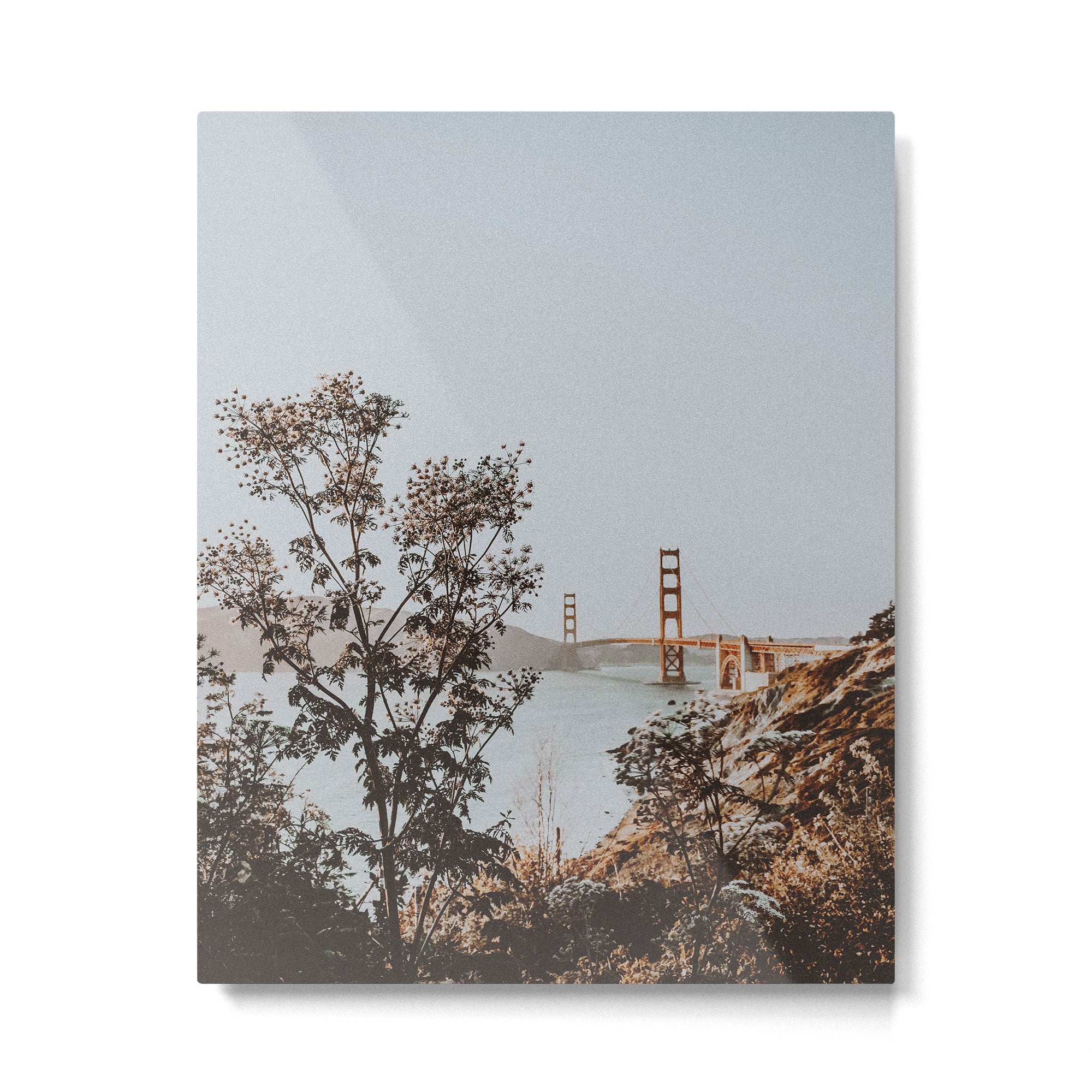 san francisco iii - california Metal Print Gallery Image 4