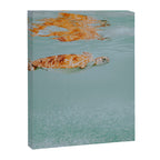 sea turtle ii Canvas Print Gallery Image 6