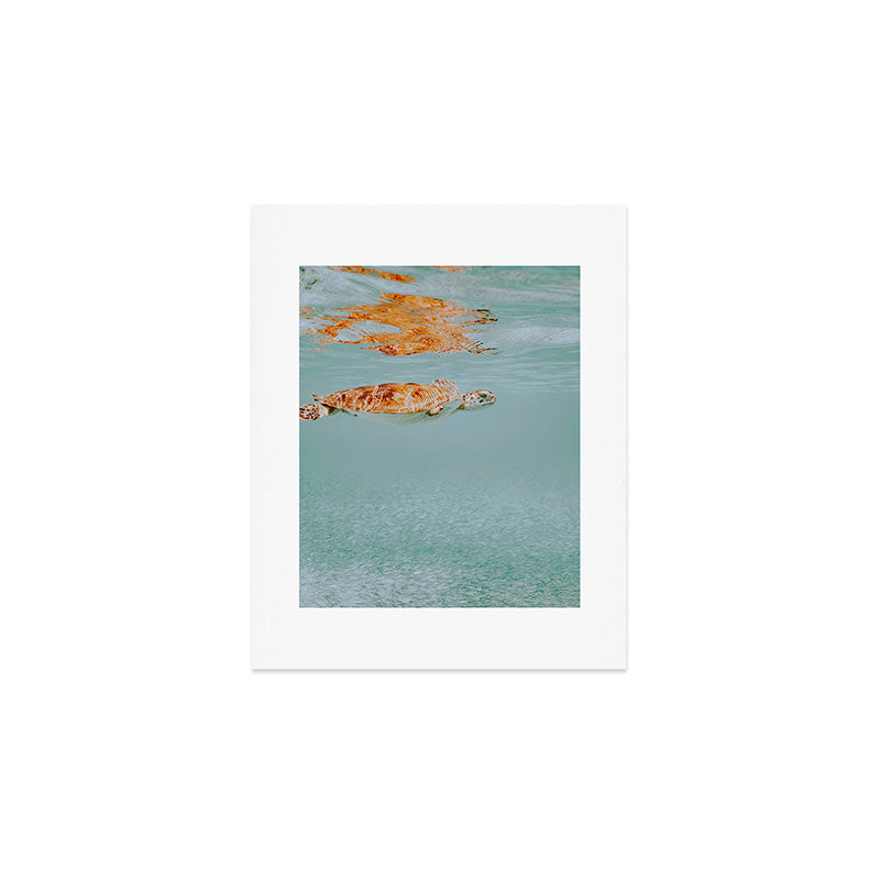 sea turtle ii Art Print Gallery Image 1
