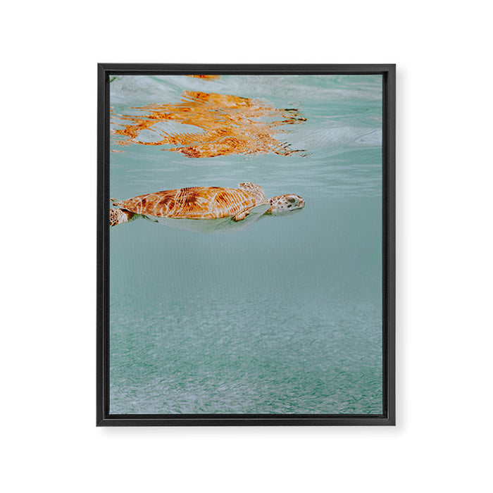 sea turtle ii Framed Canvas Print Gallery Image 1