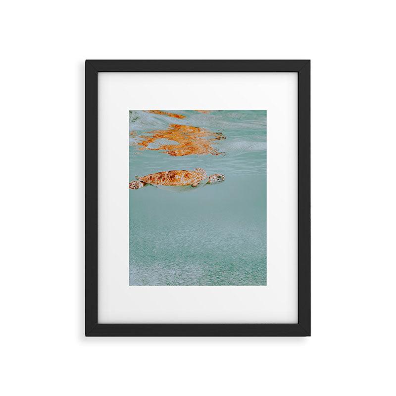 sea turtle ii Framed Art Print Gallery Image 5