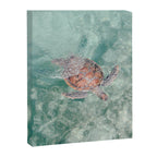 sea turtle iv - reunion island Canvas Print Gallery Image 6