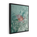 sea turtle iv - reunion island Framed Canvas Print Gallery Image 2