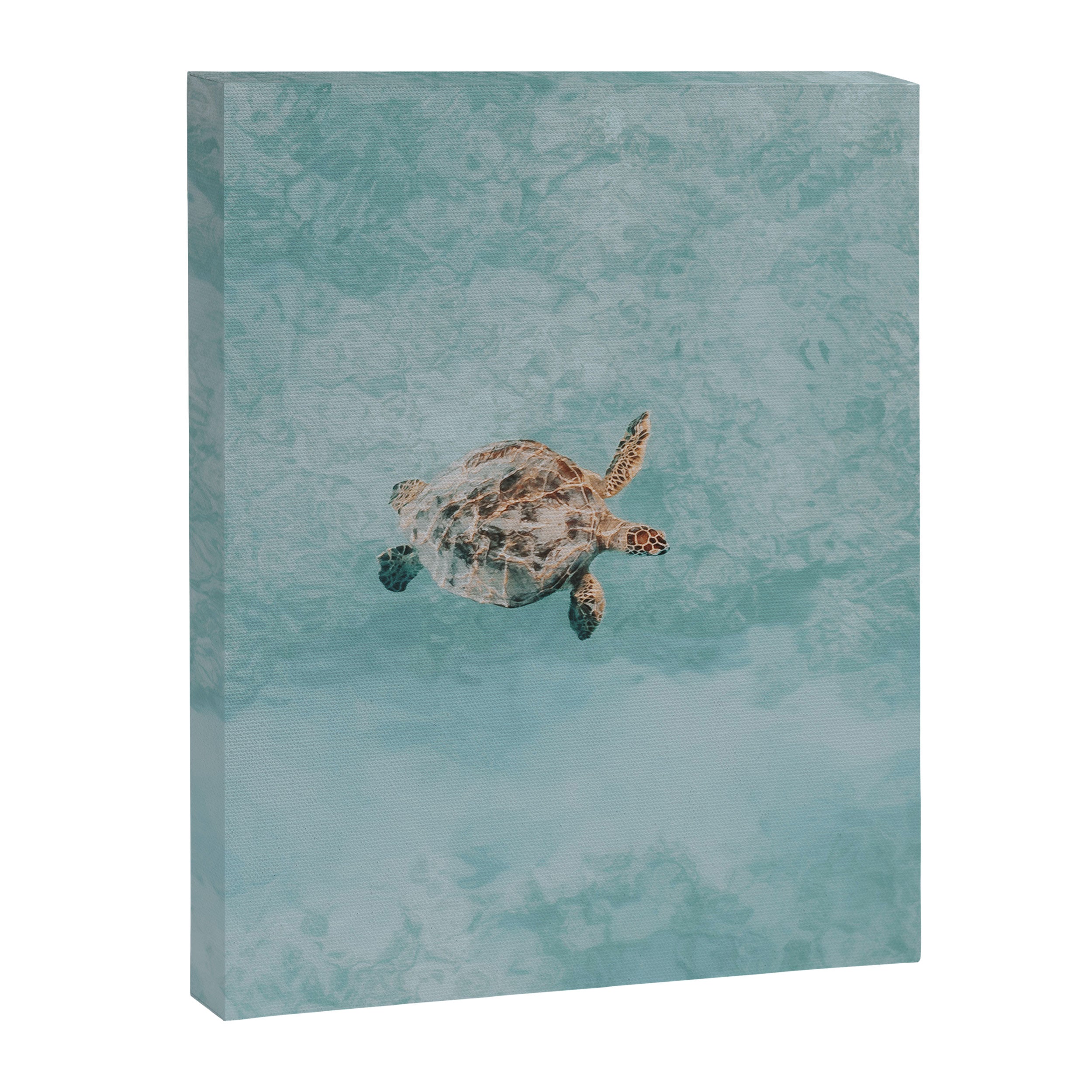 sea turtle vi Canvas Print Gallery Image 6