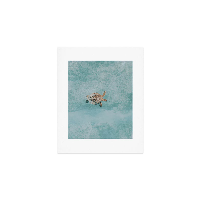 sea turtle vi Art Print Gallery Image 1