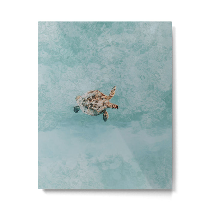 sea turtle vi Metal Print Gallery Image 1