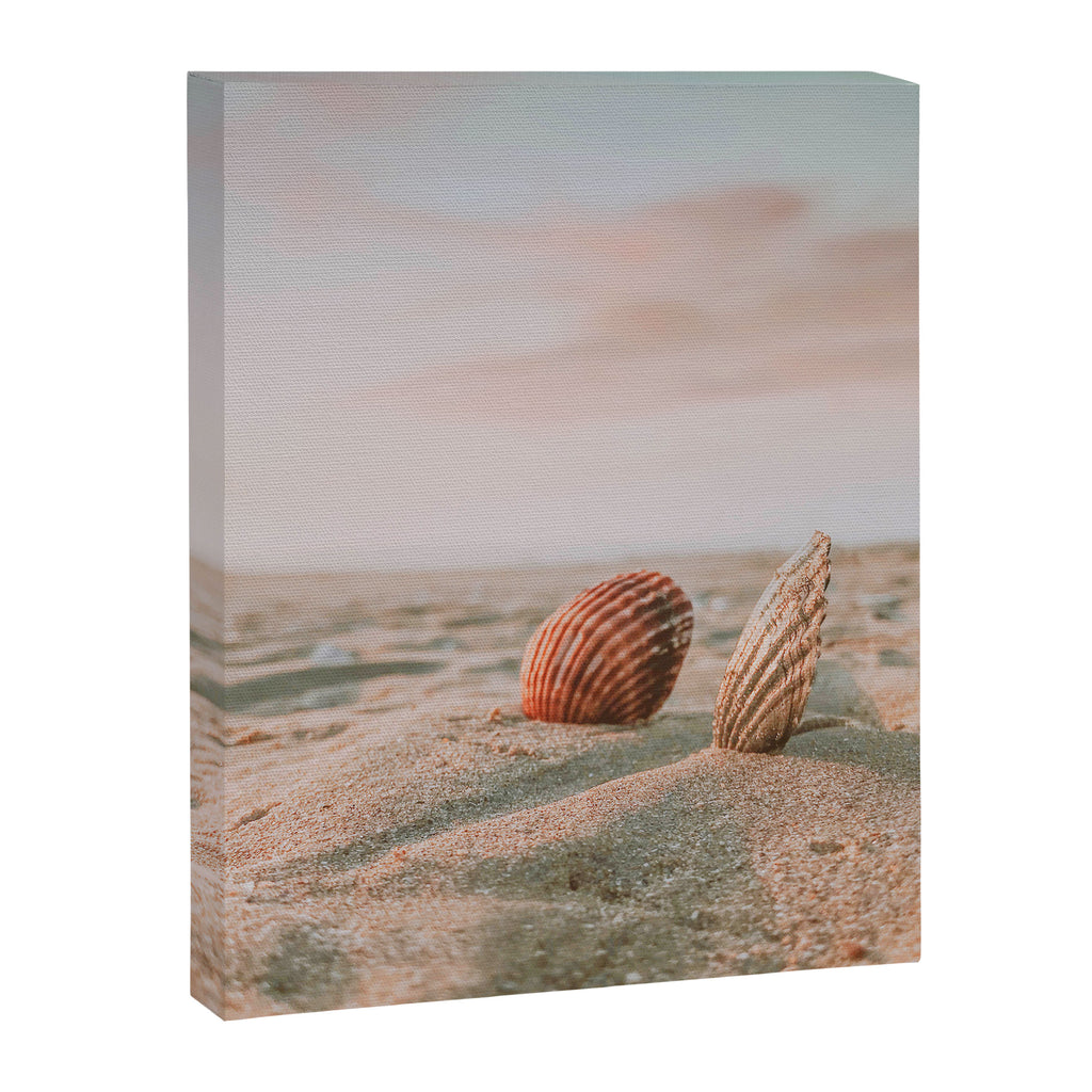 seashells ii Canvas Print Gallery Image 6