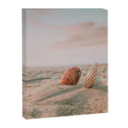 seashells ii Canvas Print Gallery Image 6
