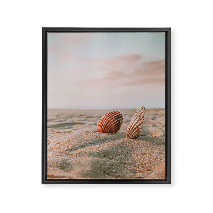seashells ii Framed Canvas Print Gallery Image 1