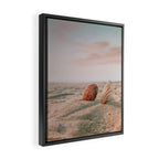 seashells ii Framed Canvas Print Gallery Image 2
