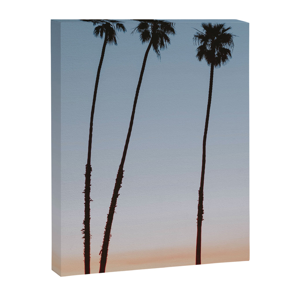 three palm trees iv / santa barbara, california Canvas Print Gallery Image 6