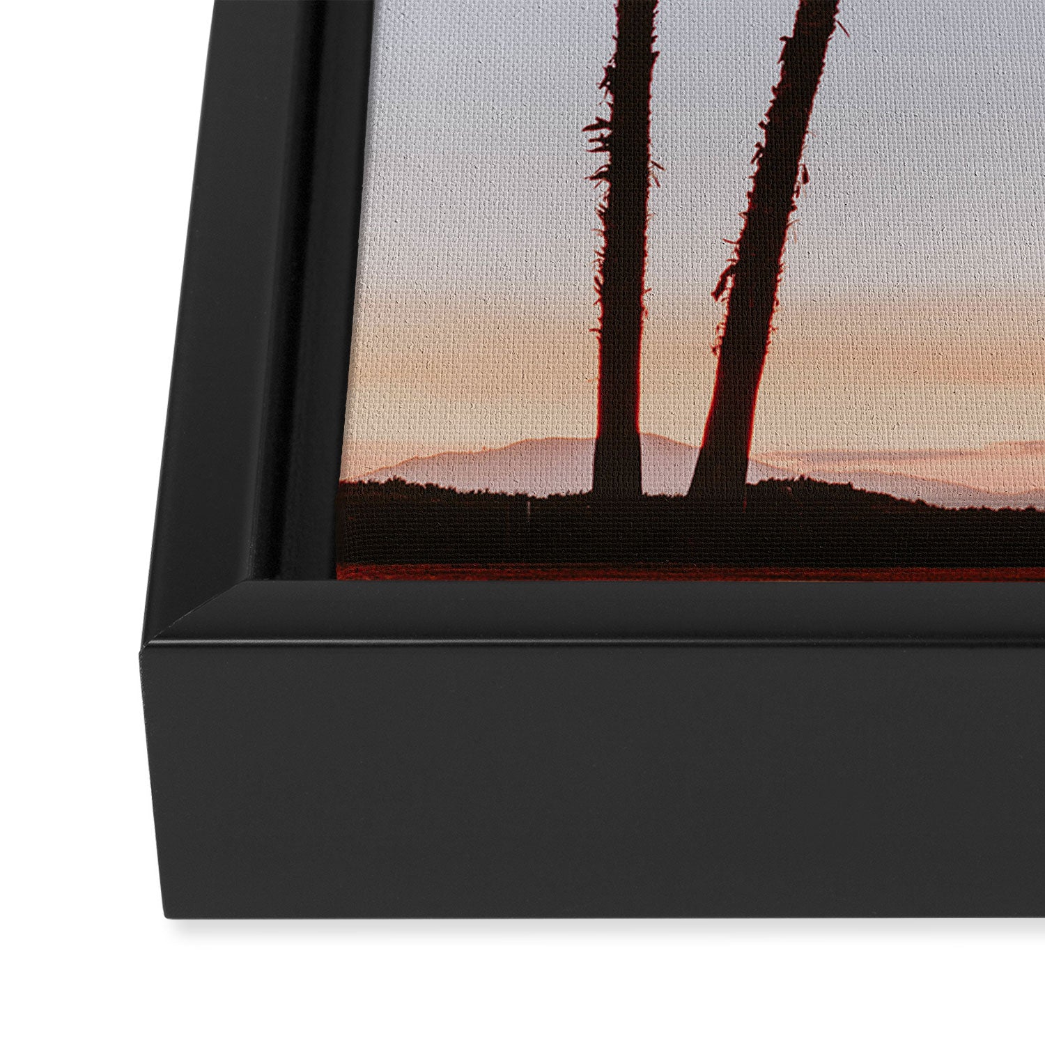 three palm trees iv / santa barbara, california Framed Canvas Print Gallery Image 3