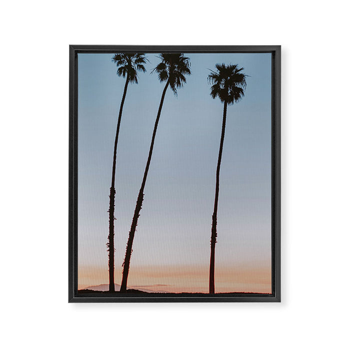 three palm trees iv / santa barbara, california Framed Canvas Print Gallery Image 1