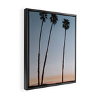 three palm trees iv / santa barbara, california Framed Canvas Print Gallery Image 2