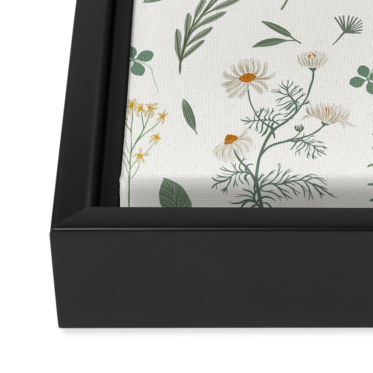 Botanica Framed Canvas Print Gallery Image 3