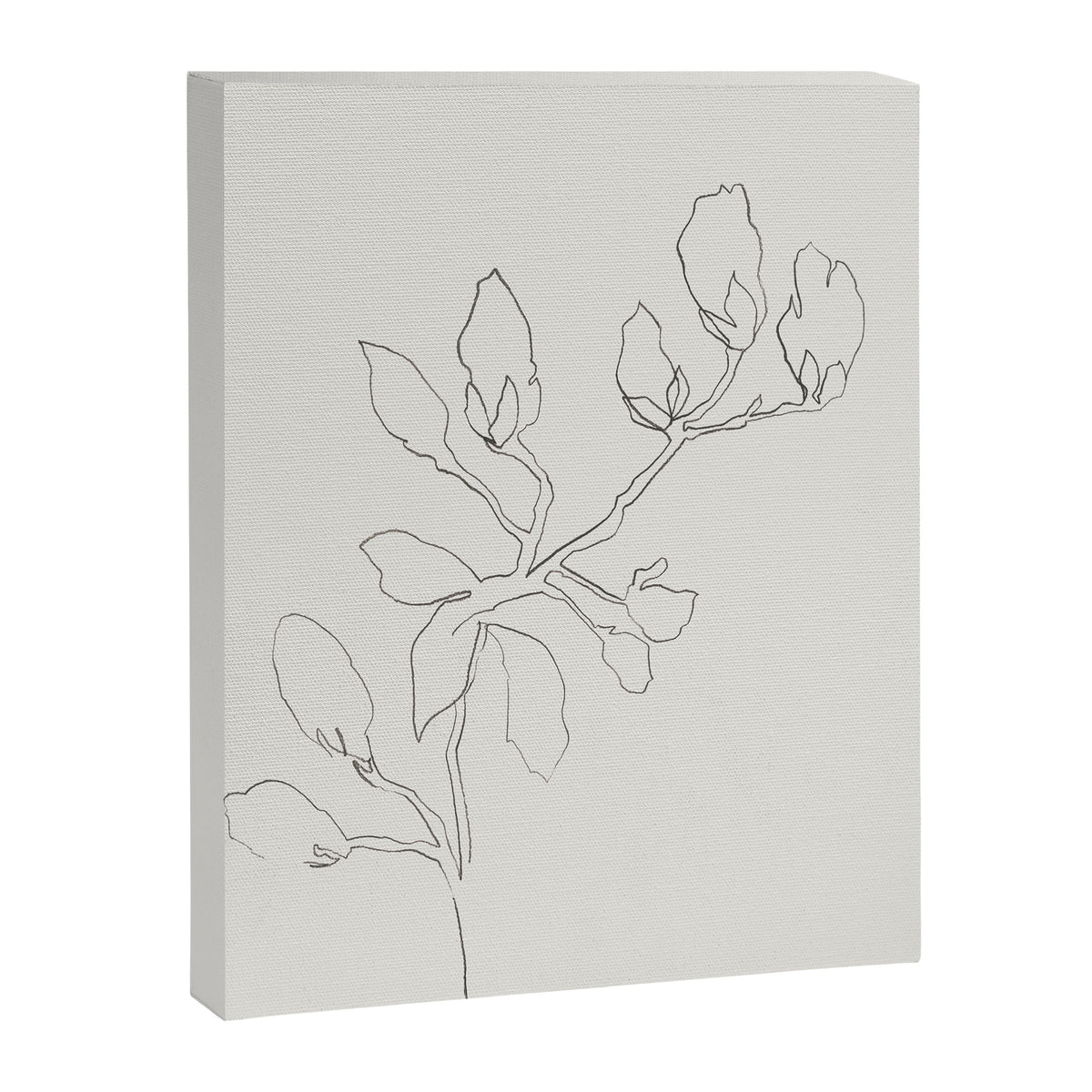 Floral Study No. 3 Canvas Print Gallery Image 6