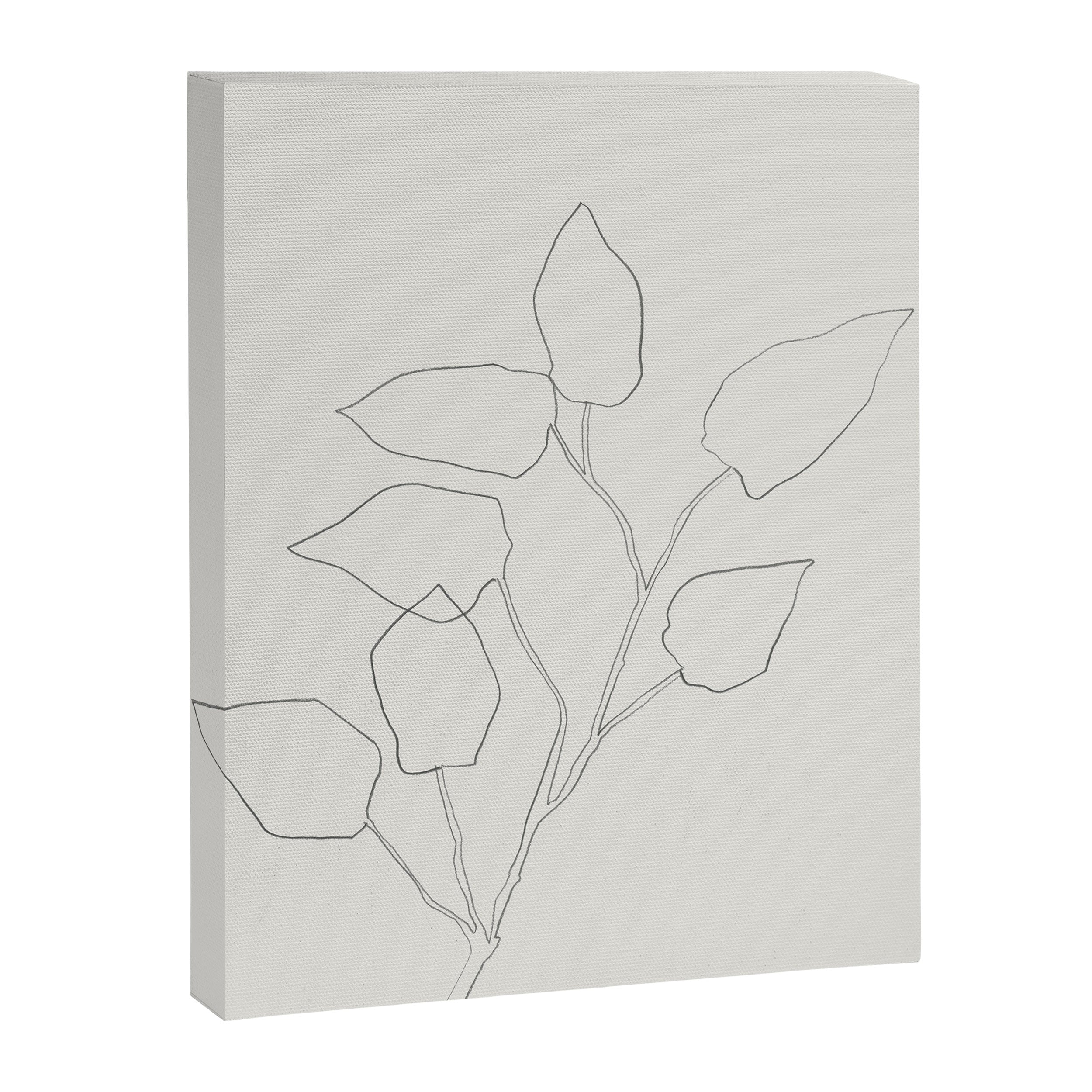 Floral Study no. 5 Canvas Print Gallery Image 6