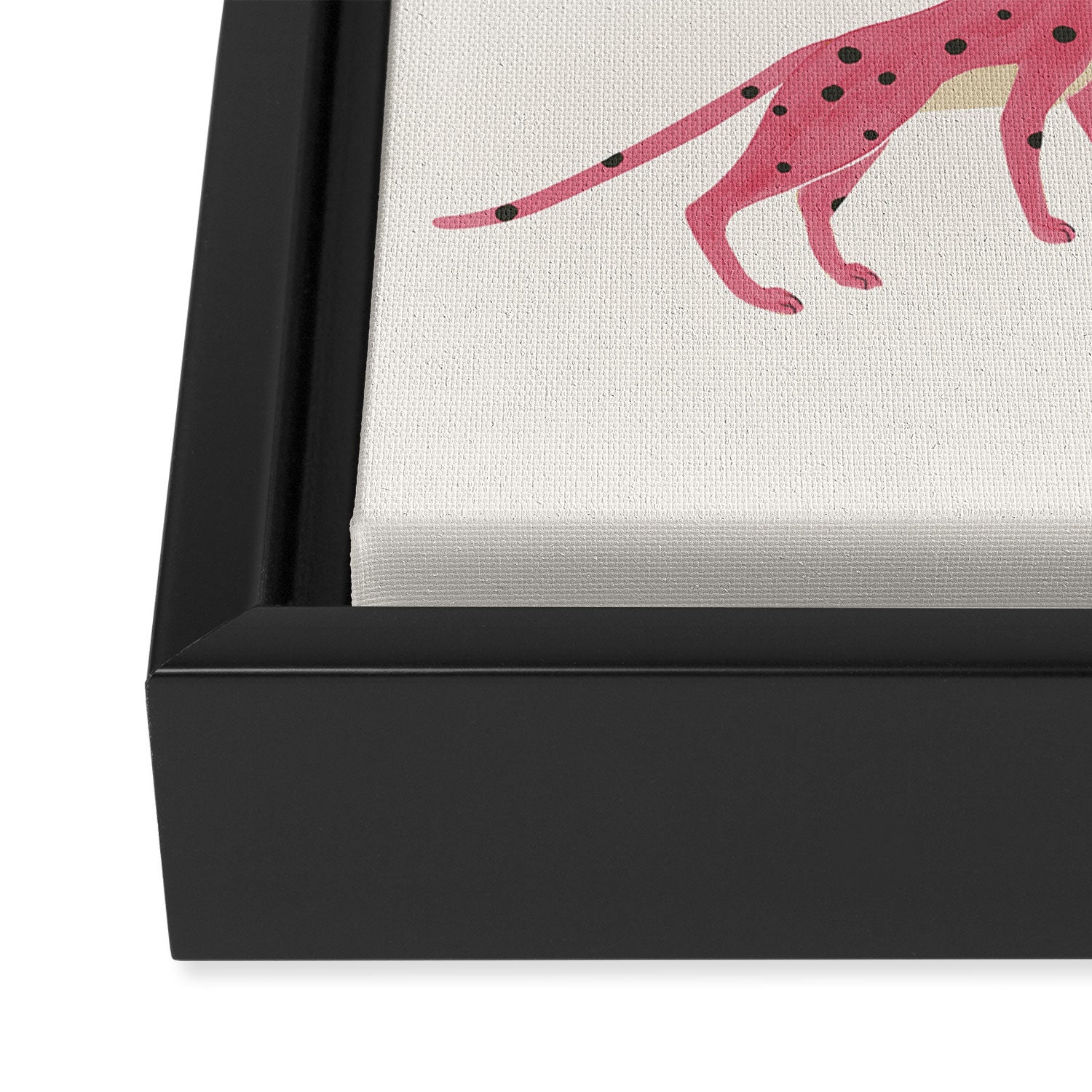 Leopard Rainbows Framed Canvas Print Gallery Image 3