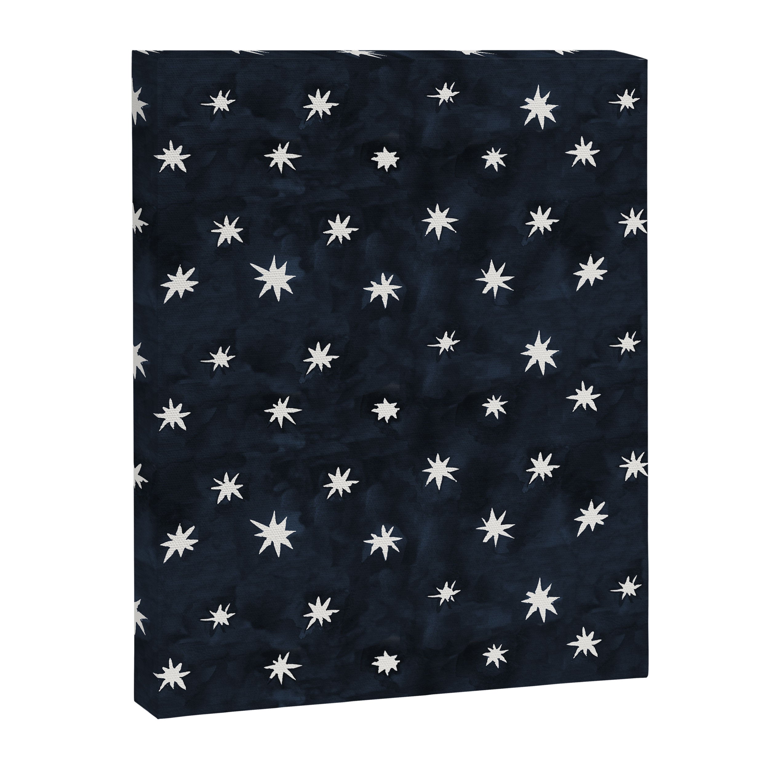 Midnight Starlet Canvas Print Gallery Image 8
