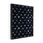 Midnight Starlet Framed Canvas Print Gallery Image 2