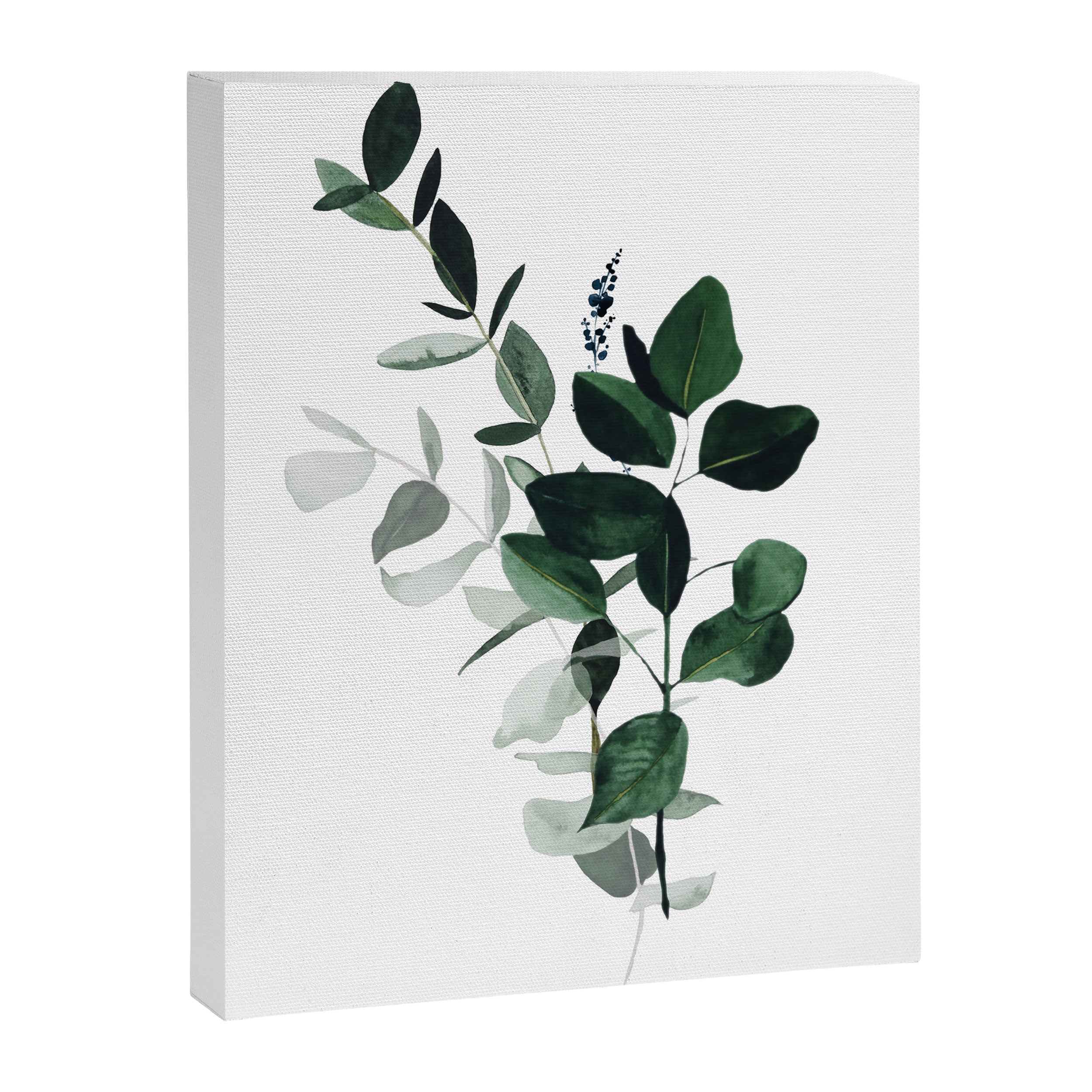 Botany Leaves ~Watercolor Canvas Print Gallery Image 8