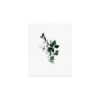 Botany Leaves ~Watercolor Art Print Gallery Image 1