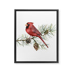 Christmas Red Cardinal Bird and Pine Watercolor Framed Canvas Print Gallery Image 8