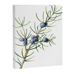 Juniper White Christmas Canvas Print Gallery Image 8