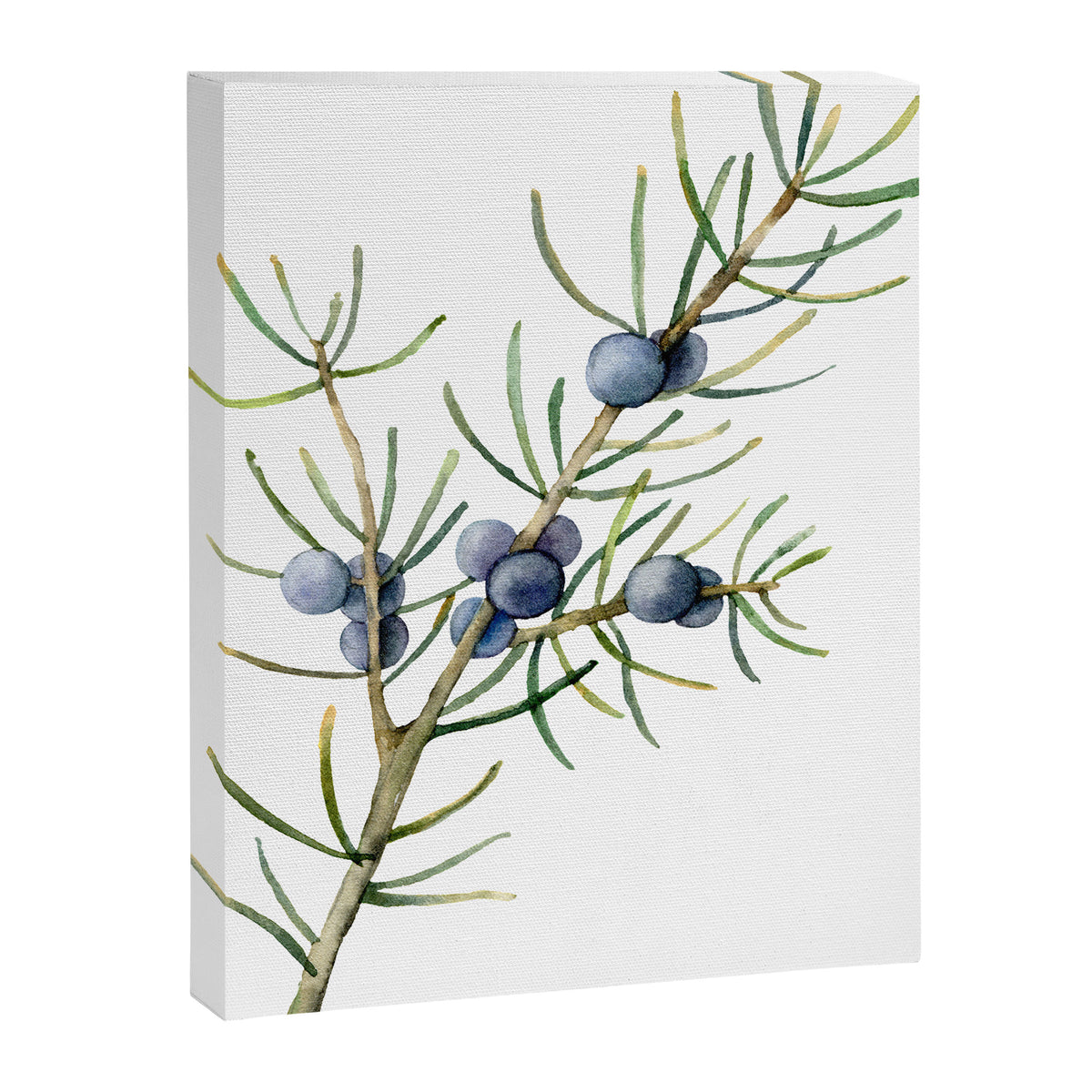 Juniper White Christmas Canvas Print Gallery Image 8