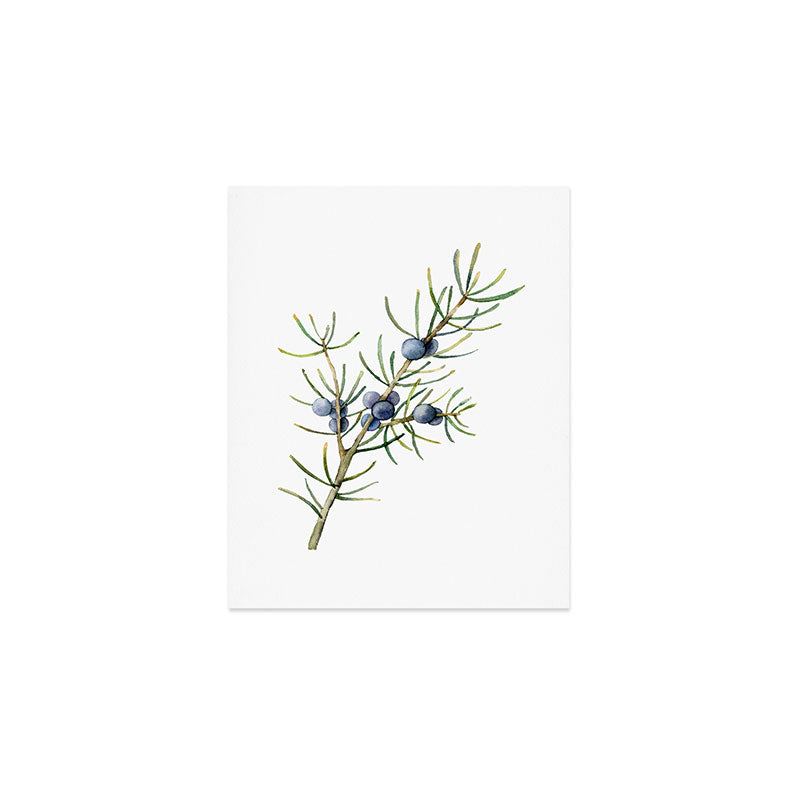 Juniper White Christmas Art Print Gallery Image 1