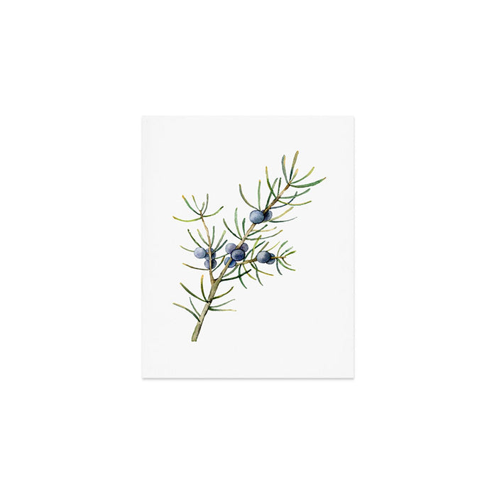 Juniper White Christmas Art Print Gallery Image 1