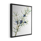 Juniper White Christmas Framed Canvas Print Gallery Image 2