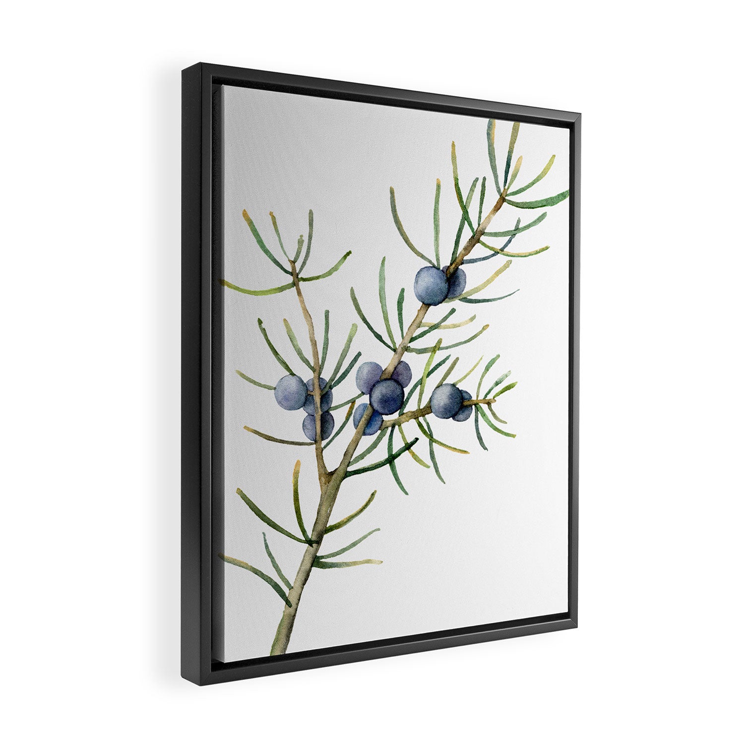 Juniper White Christmas Framed Canvas Print Gallery Image 2