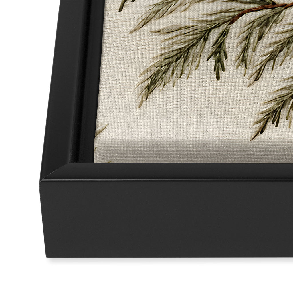 Pinecone Enchantment Framed Canvas Print Gallery Image 3