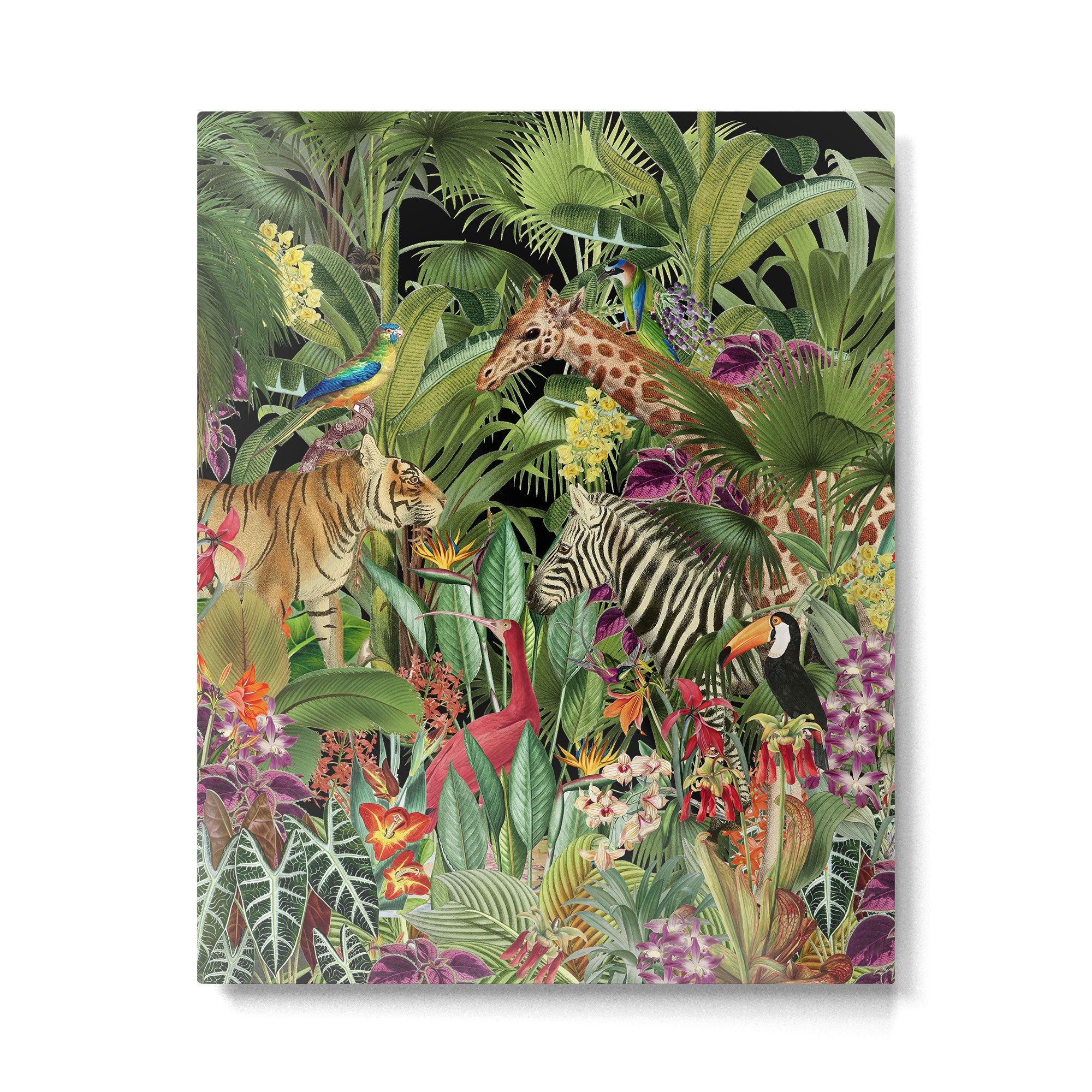 Tropical Eden Jungle on Black Vintage Print Metal Print Gallery Image 6